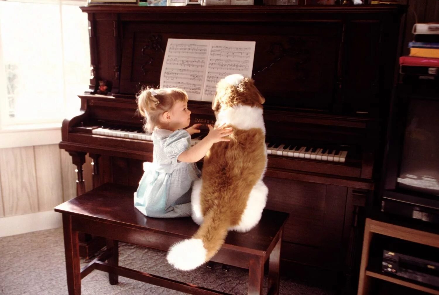 Котята поют. Котята поют. Котята с музыкальными инструментами. Животные с электрогитарой. Девочка поет коту.