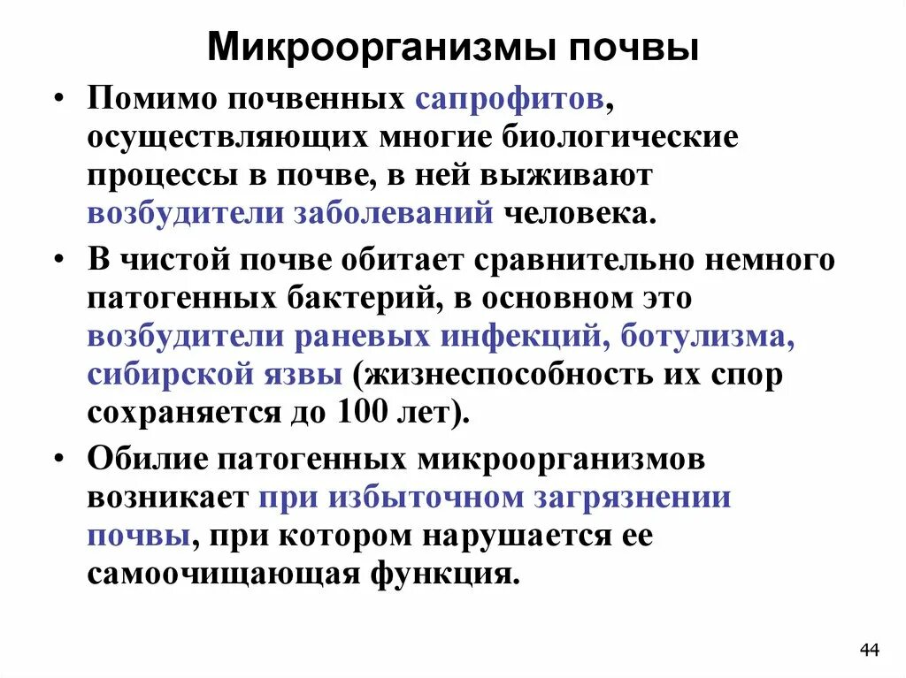 Значение почвенных бактерий. Микроорганизмы в почве. Почвенная микробиология. Микрофлора почвы бактерии. Патогенные почвенные микроорганизмы.