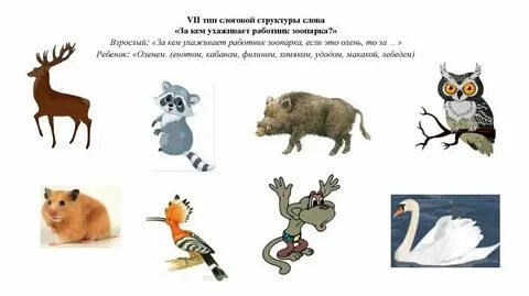 Вид 7 2 что это