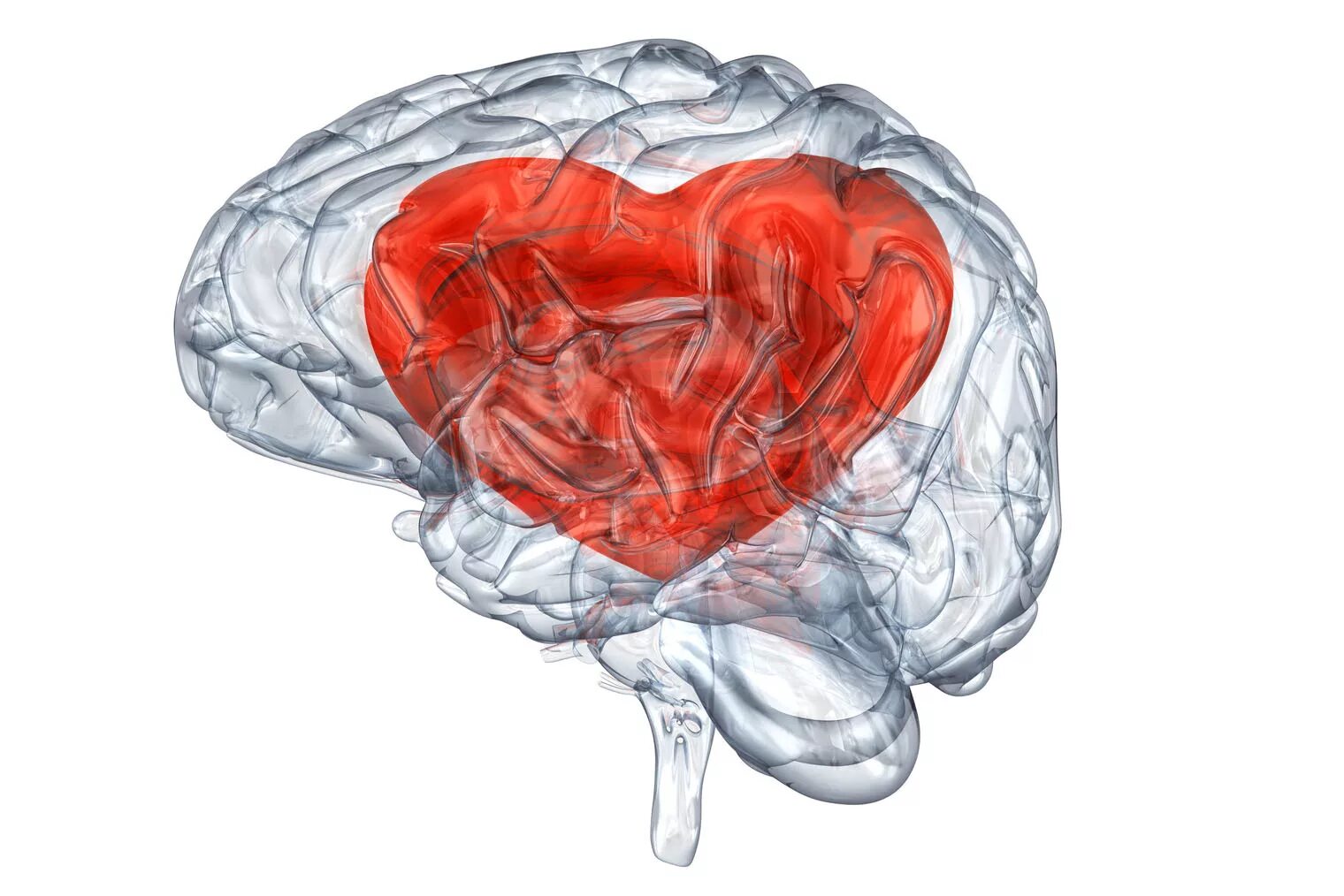 Сердце и мозг арты. Инсульт. В самое сердце в мозге. Снимки мозга и сердце. Мозг и сердце.