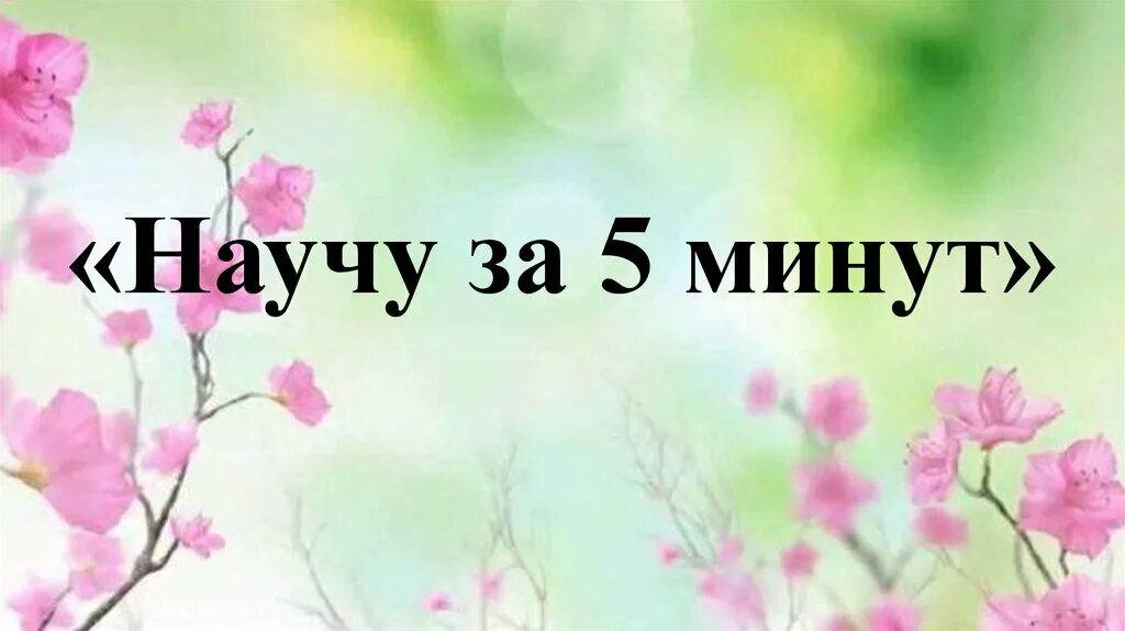 Научиться за 5 минут. Научу за 5 минут. Конкурс научу за 5 минут. Научу за 5 минут мастер класс. Чему можно научить за 5 минут.