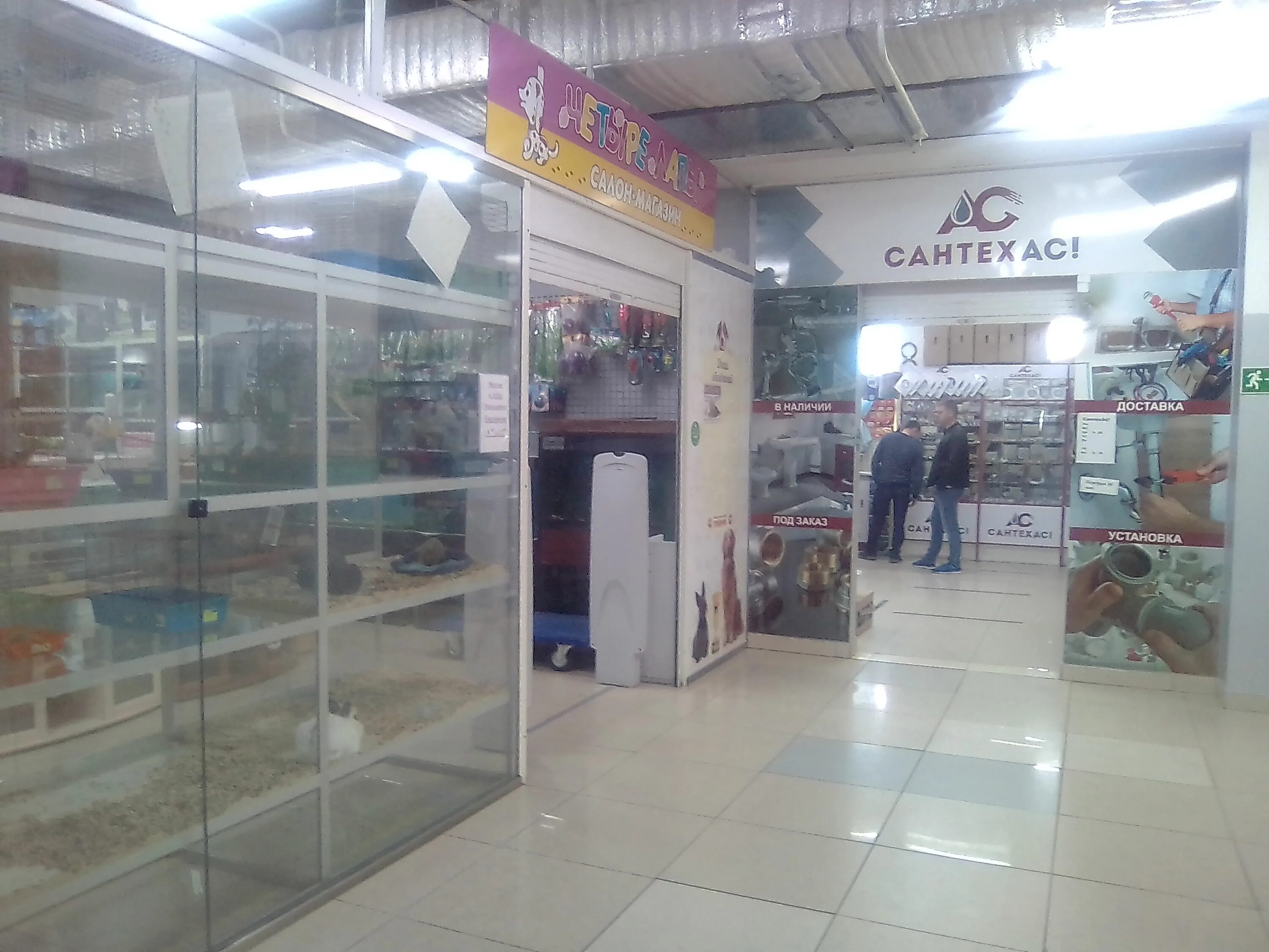 столица зоомагазин котлас. четыре лапы зоомагазин орехово-зуево. четыре лапы архангельск. четыре лапы архангельск. склад 4 лапы.