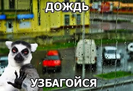 Дождь смешные картинки с надписями