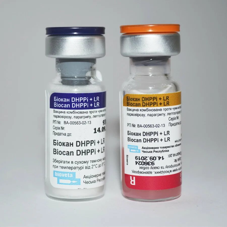 Вакцина Биокан DHPPI+L Д/собак. Биокан LR L вакцина для собак. Биокан вакцина для собак. Чешская вакцина для собак Биокан.