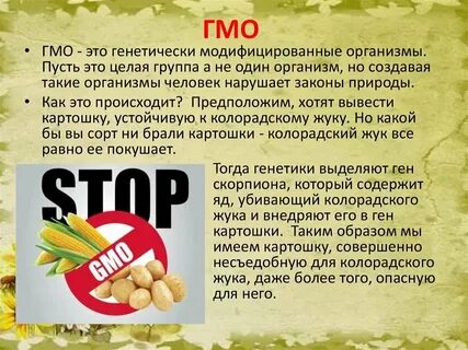 Применение генно модифицированных организмов