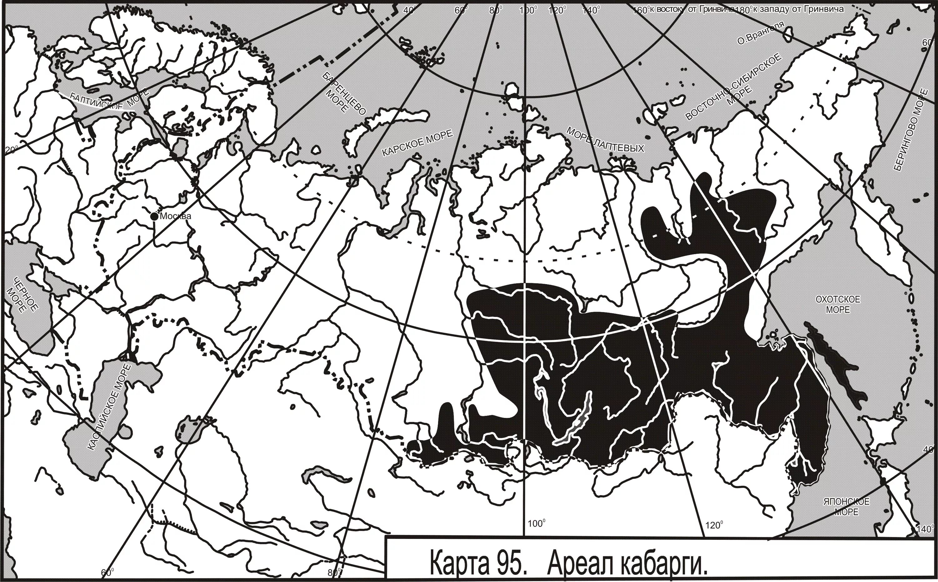 Черный дрозд ареал обитания. Кабарга ареал обитания в России. Кабарга ареал распространения. Ареал кабарги сибирской. Сибирская кабарга ареал обитания.