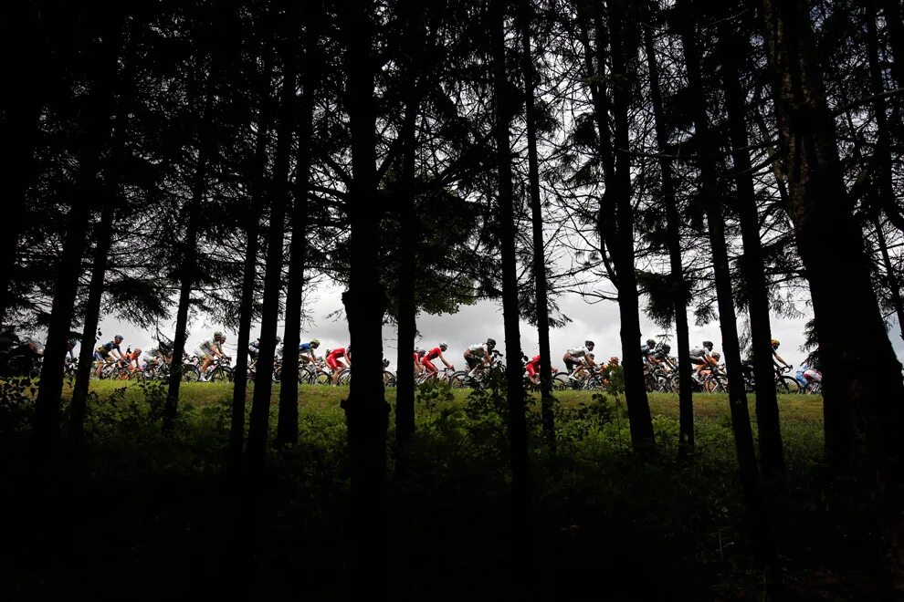 пройду мимо сосен