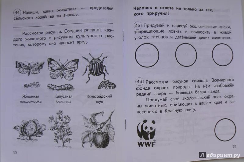 Задание по окр миру 2 класс. Окружающий мир задачи. Окружающий мир 2 класс задания. Окружающий мир самостоятельная работа.