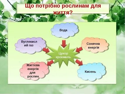 Яке значення