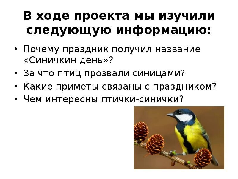 Приметы синички. Синичкин день презентация. Приметы про синичек. 12 Ноября Синичкин день презентация. Синичкин день приметы.