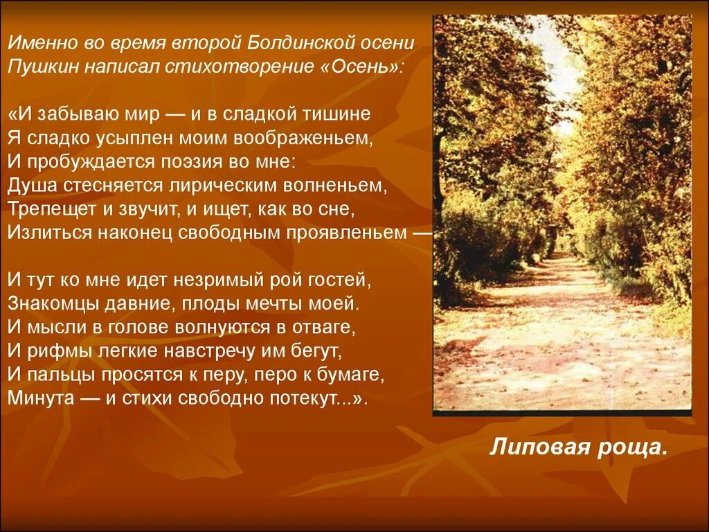 Стихотворение Пушкина Болдинская осень. Пушкин осень дни поздней осени бранят обыкновенно