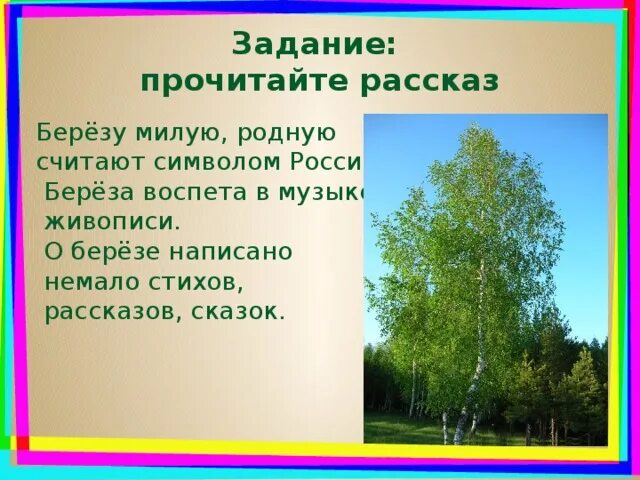 Как пишется березка. Рассказ о Березе. План рассказа береза. План по рассказу родные Берёзки. Рассказ о Березе 2 класс окружающий мир.