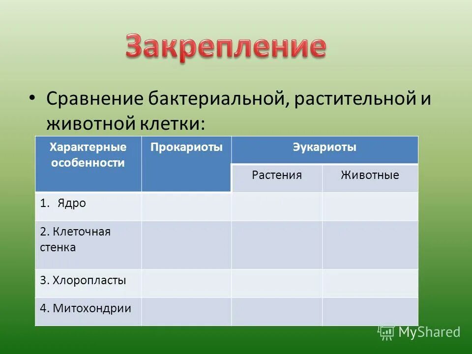 2 прокариоты доядерные организмы