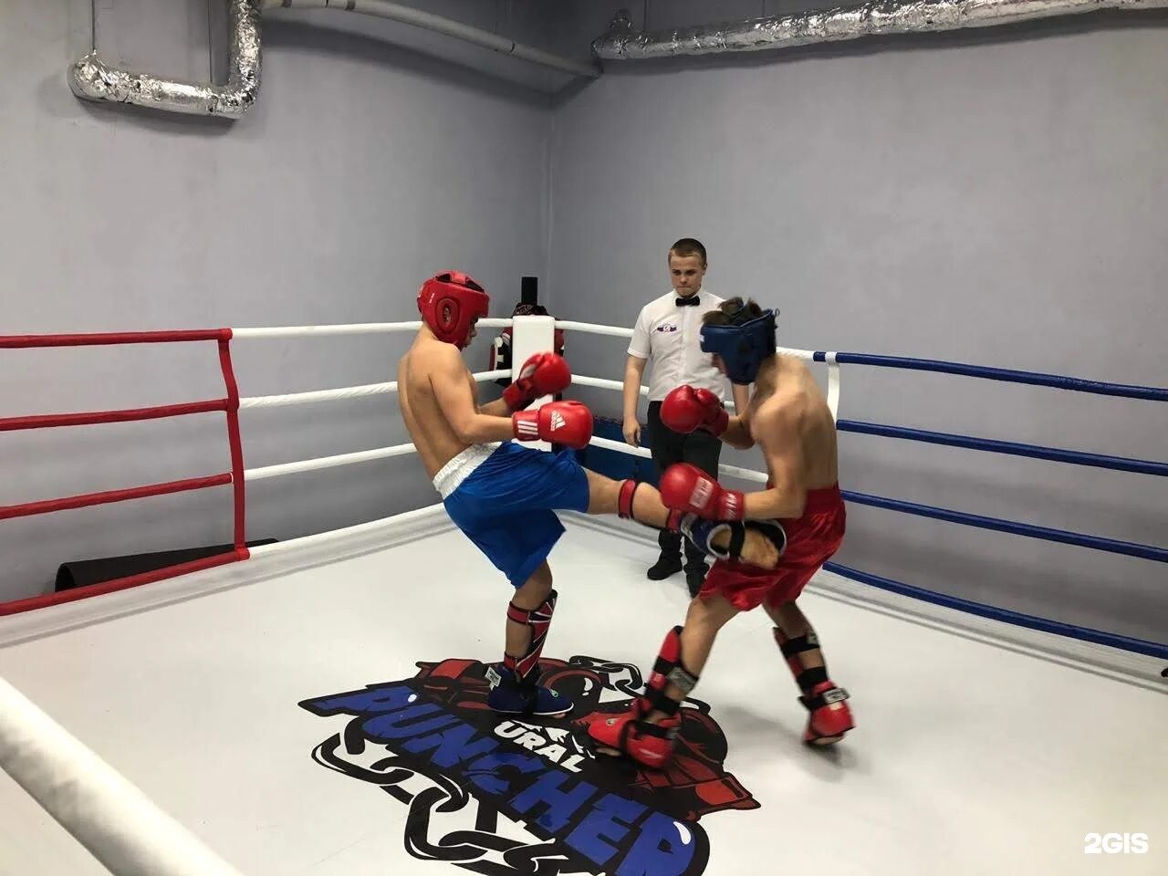 Панчер стор екатеринбург. Панчер стор екатеринбург. Панчер стор. Клуб единоборств урал. Панчер екатеринбург.