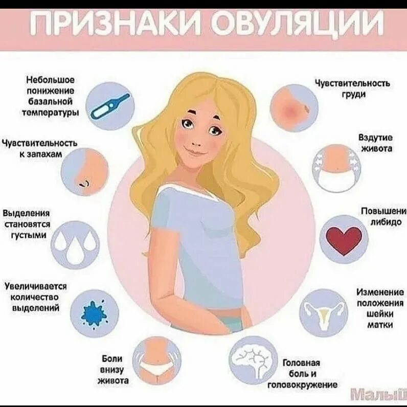 Признаки месячных. 1 Симптомы беременности. Симптомы при беременности на ранних сроках до задержки месячных. Симптомы беременности в первые дни задержки месячных 1 день. Признаки овуляции.
