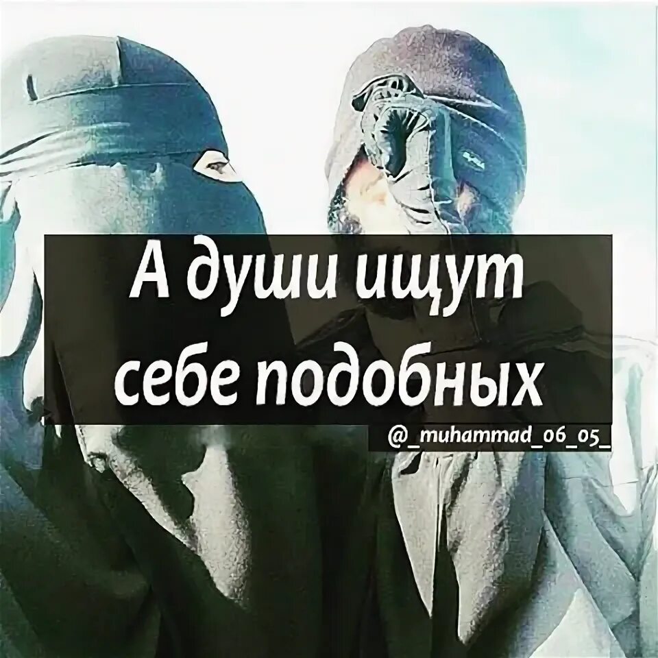 Храбрость не продлит мне жизнь а трусость. Клянусь Аллахом трусость. Трусость не продлит жизнь. Клянусь Аллахом трусость не. Храбрость не уменьшит жизнь трусость не продлит.