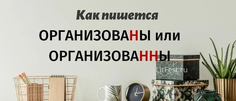 Организовали как пишется правильно. Организованный как пишется. Как пишется слово организованно или организовано. Организована или организованна как пишется. Не организована как пишется.