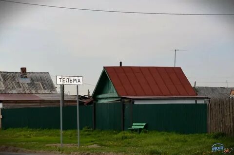 Погода тельма усольский