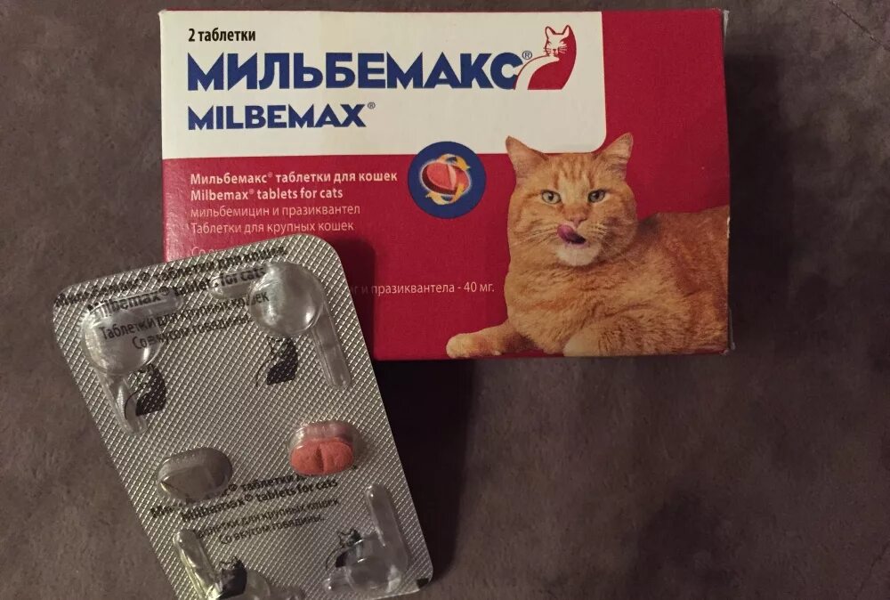 Купить лекарства кошки. Мильбемакс антигельминтик для кошек 2 табл. (24 уп/240кор) 16/40 мг. Мильбемакс для кошек 1 таб.. От глистов кошке Мильбемакс. Таблетка от глистов Мильбемакс для котов.