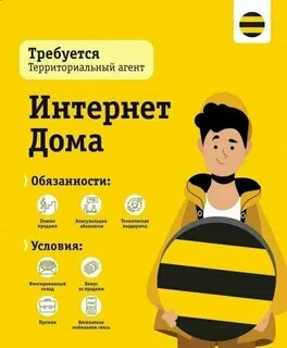 Интернет дома от билайн