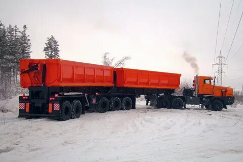 Ел тн