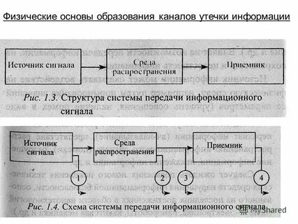 Обязаны заложить основы физического