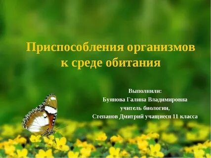 Среда обитания приспособленности к среде таблица