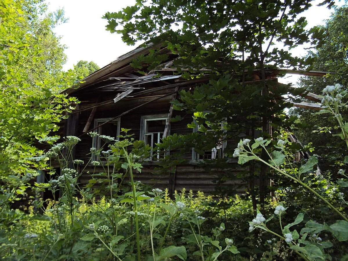 File:0098 Tver Oblast Russia August 2016.jpg - Wikimedia Commons