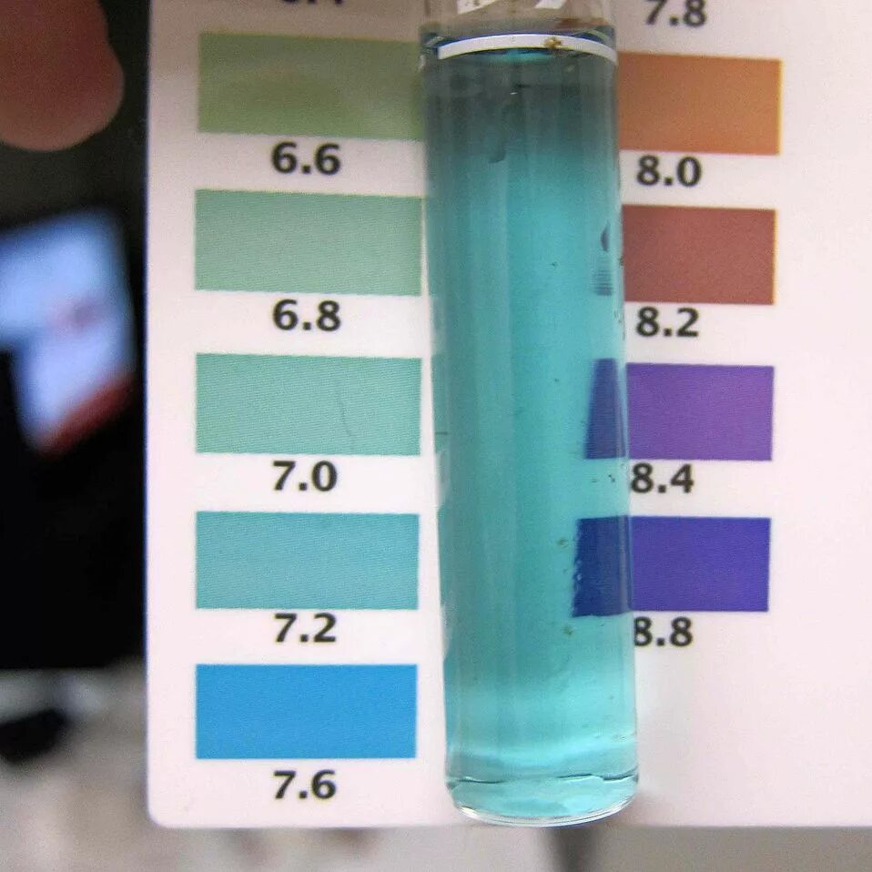 Тесты ph воды. PH жесткость воды норма. PH воды и жесткость воды. Кислотность аквариумной воды. PH воды питьевой.