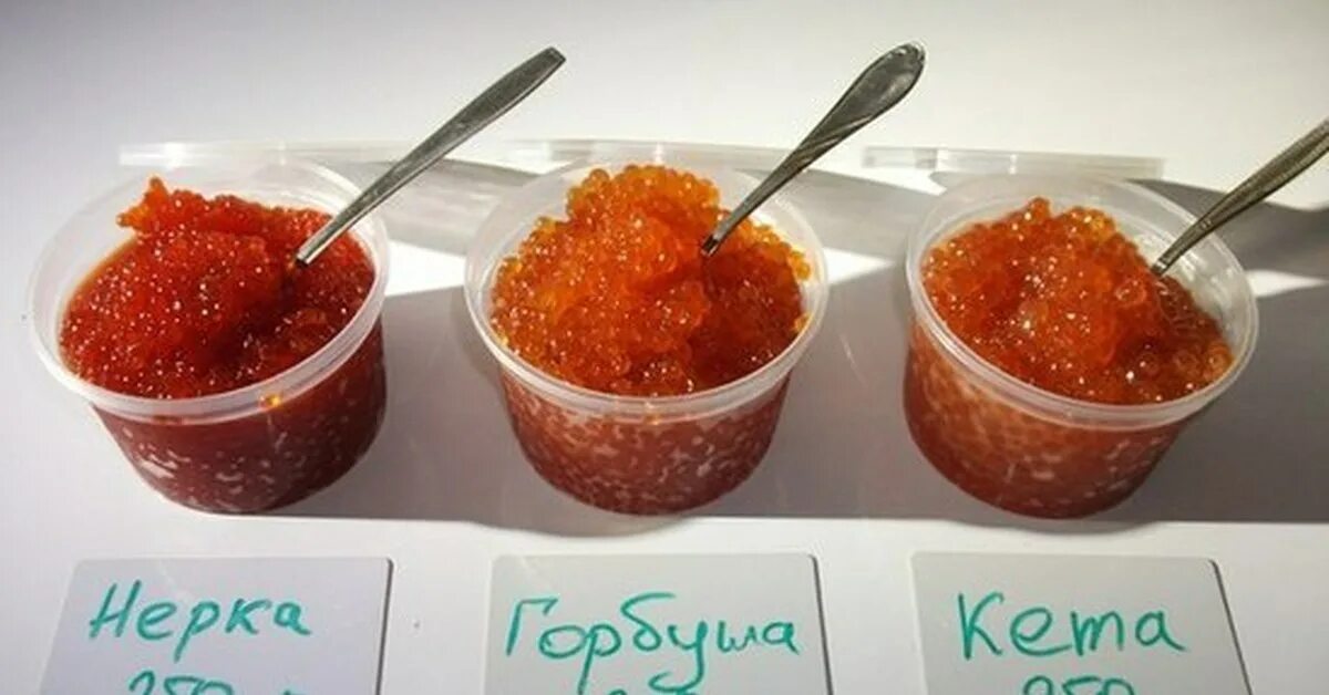 Какая икра вкусней горбуша нерка или кета. Икра кеты и горбуши. икра кеты нерки горбуши отличия. икра горбуши и икра кеты отличия. кета и горбуша икра.