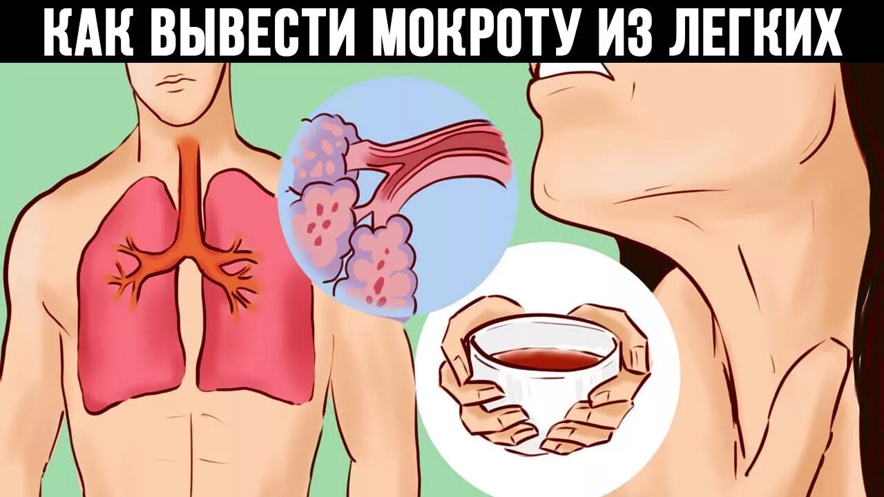 Мокрота в легких с кашлем.