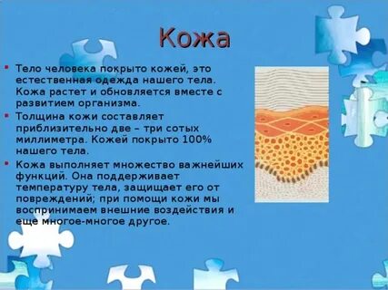 Кожа на ощупь окружающий мир