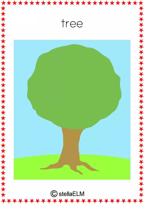 Tree words. Tree карточка на английском. Дерево Flashcard. Карточки деревья на английском. Карточки по английскому языку дерево.