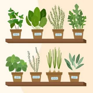 Easy plants