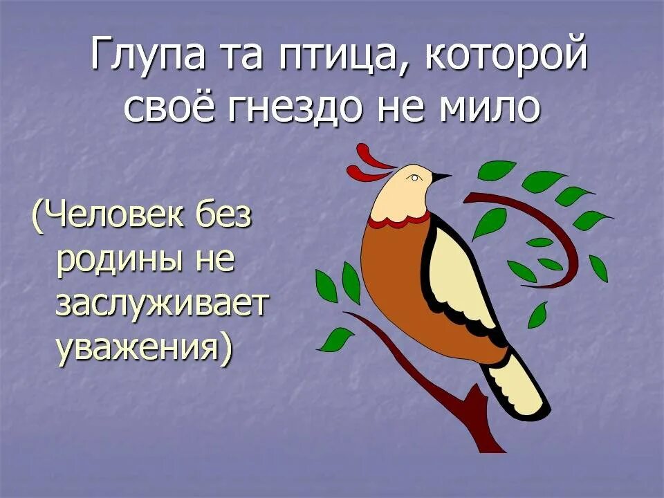 Глупа та птица пословица. Глупа та птица которой. Глупа та птица которой свое гнездо не мило. Глупа та птица которой свое гнездо не мило смысл пословицы. Рисунок к пословице глупа та птица которой свое гнездо не мило.