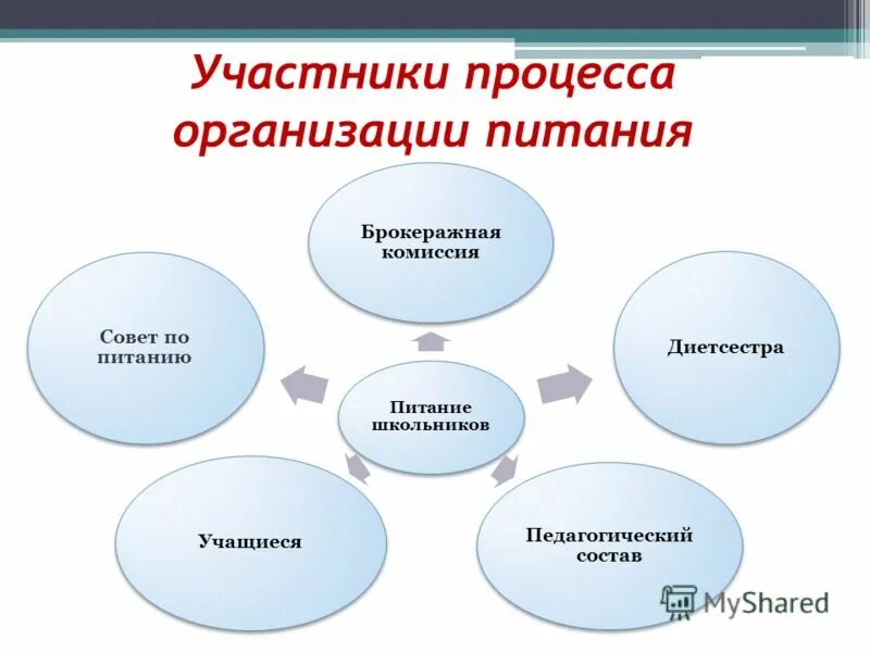 профессиональный участник процесса