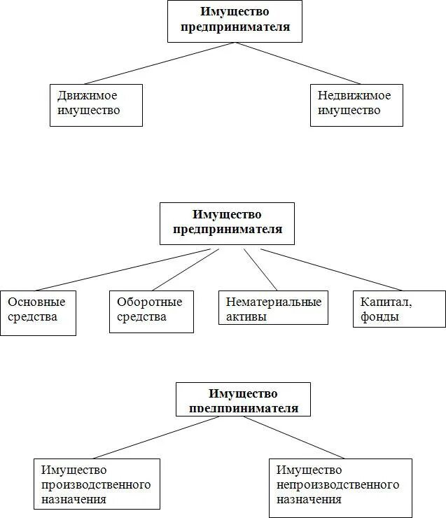 Собственность индивидуального предпринимателя