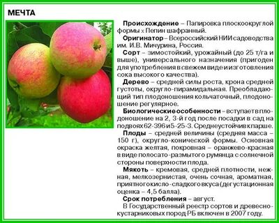 Опылители для яблони