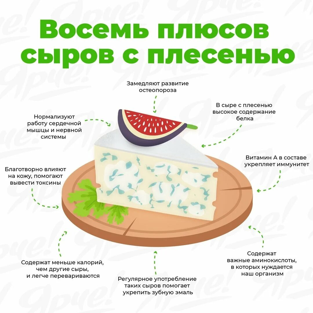 Не хватает сыра в. Чем полезен сыр для организма. сыр польза и вред. польза сыра с плесенью для организма. польза и вред сыра.