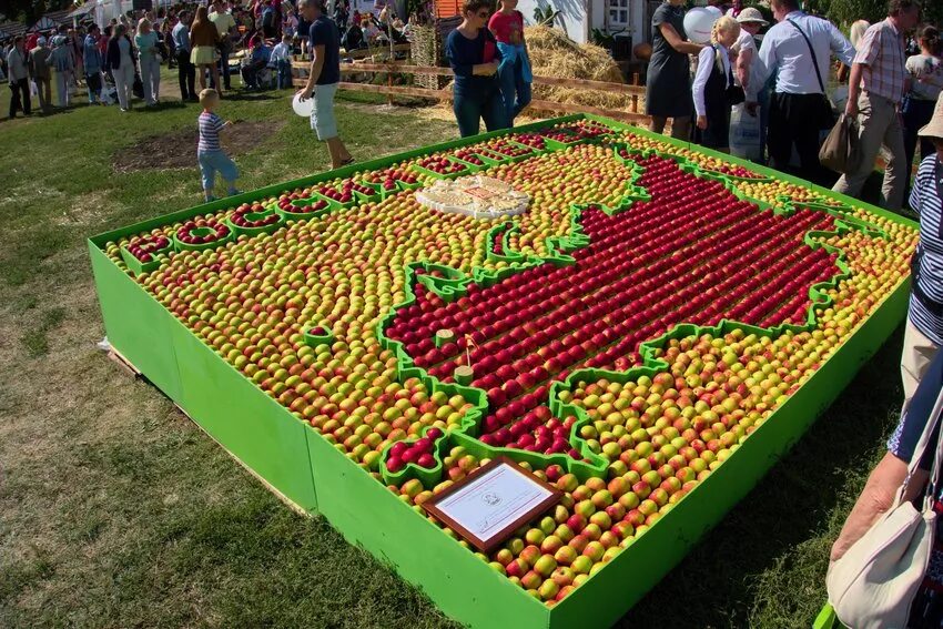 Город сад воронеж 2021. Фестиваль город сад воронеж. Город сад конкурс. Э говард город-сад. Город-сад (фестиваль).