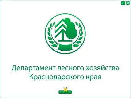 Факультеты лесного хозяйства