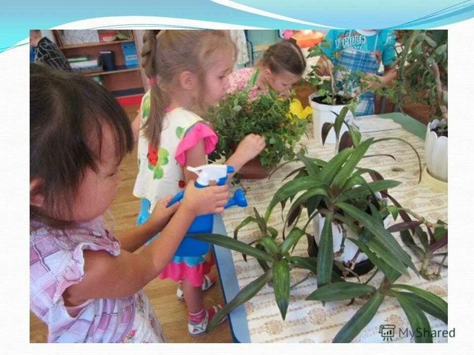 Цветы с детьми в детском саду