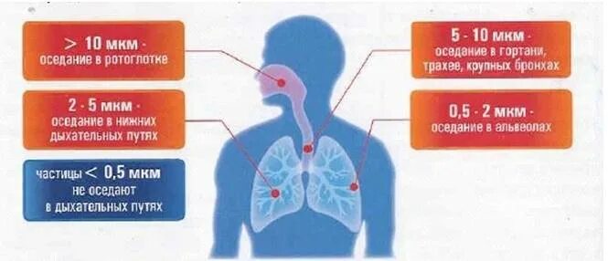 Влияние аэрозолей на организм человека. Влияние аэрозоля на органы дыхания человека. Влияние пыли на дыхательную систему. Размер частиц пыли.
