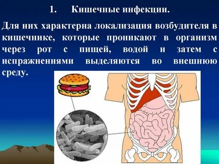 Распространение кишечных инфекций