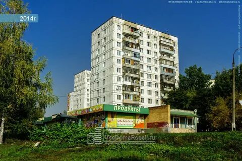 Пушкино 9