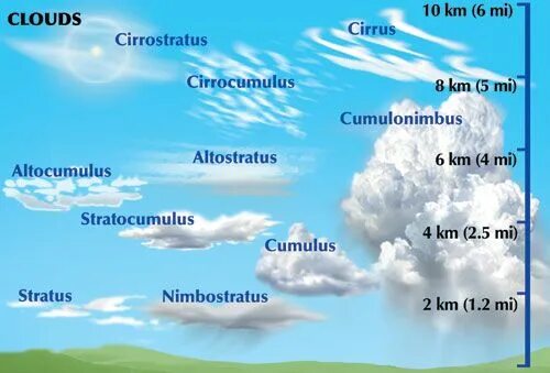 Облака и их виды. Виды облаков altocumulus. Cumulus and Stratus clouds. Kind of the clouds.