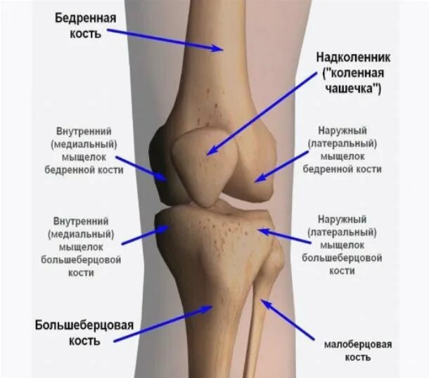 Латеральная поверхность коленного сустава. Солитарная костная киста на кт. Асептический некроз медиального мыщелка бедренной кости кт. Строение колена связки и мышцы спереди. Перелом тазобедренного сустава шейка бедра.