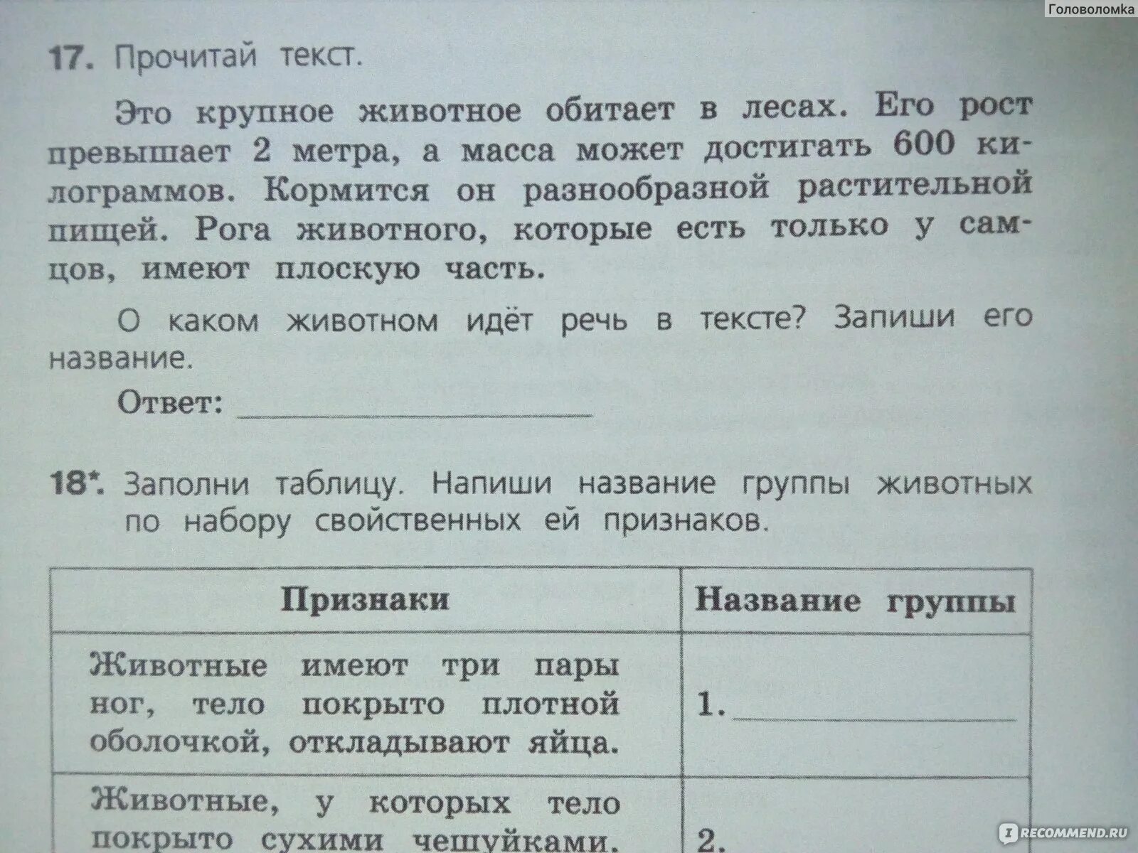 Текст впр как хорошо летом в лесу. ВПР 4 класс задания. Текст для ВПР по русскому языку 4 класс. Текст ВПР 4 класс. Текст из ВПР.