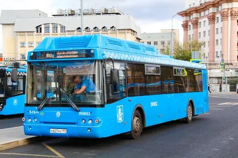 Транспорт автобус 8