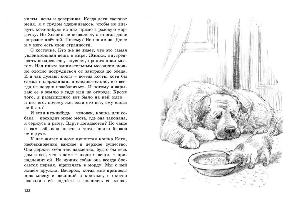 Мысли сапсана обложка книги. Мысли сапсана о предметах. Куприн а. Куприн сапсан иллюстрации. Мысли сапсана о предметах.